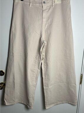 Universal Thread Wide-Leg Chinos in Light Cream